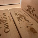 Gita enogastronomica in Franciacorta